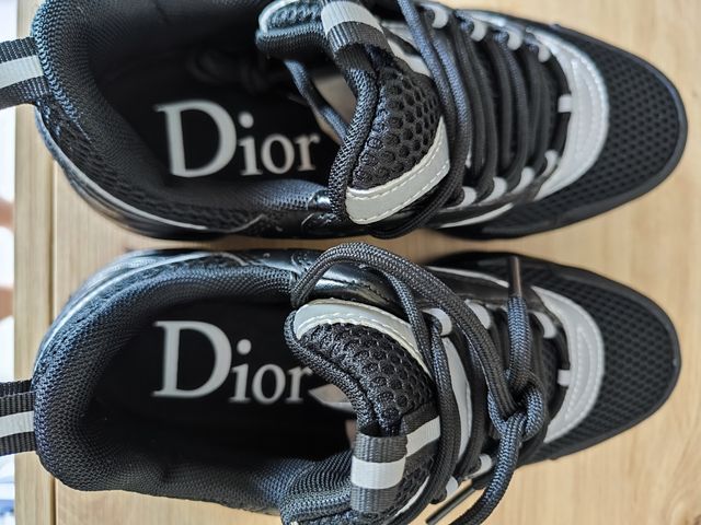 Dior b22 