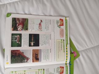 Think Do Learn Natural Sciences 4th Primary. Ac...