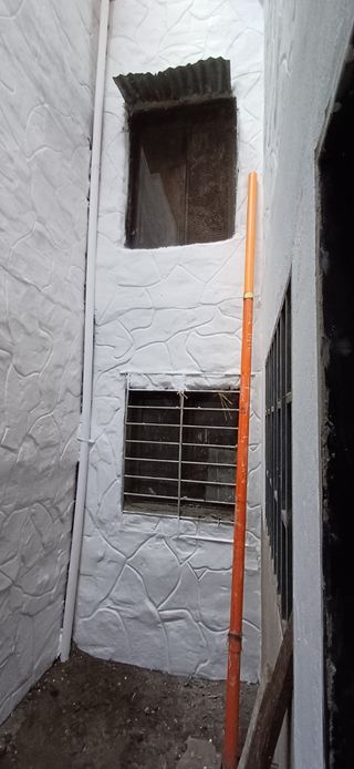 Servicios paleta - Albañil