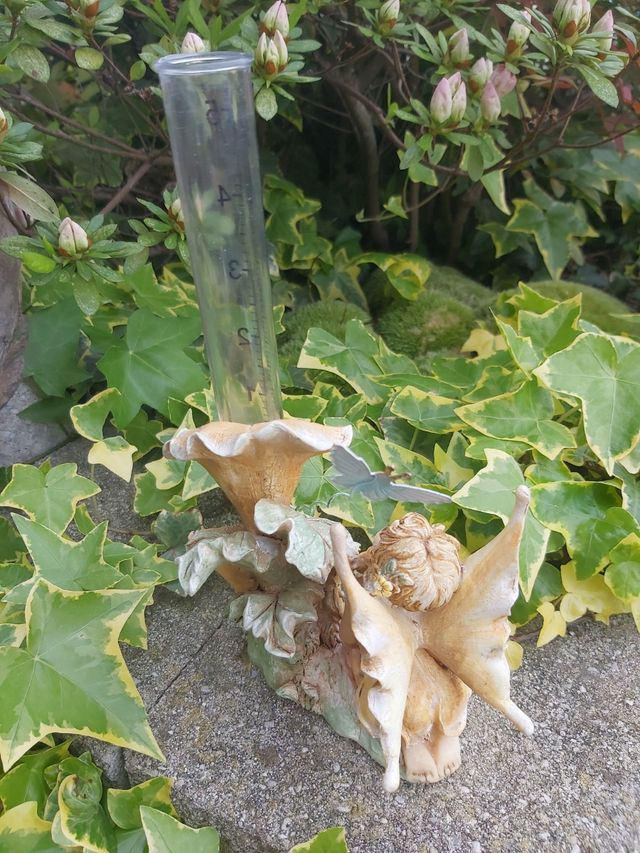 Fata Giardino con Pluviometro