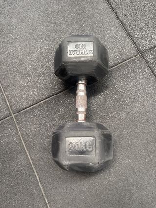 Mancuerna 20kg