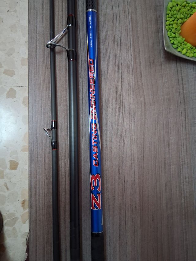 Surfcasting caña y carrete pesca