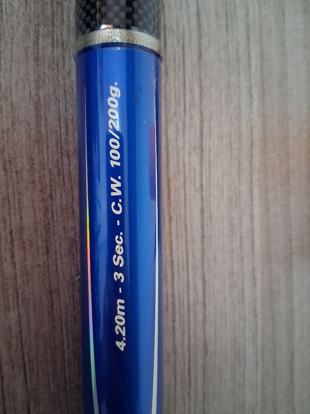 Surfcasting caña y carrete pesca