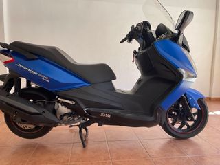 MaxiScooter 300