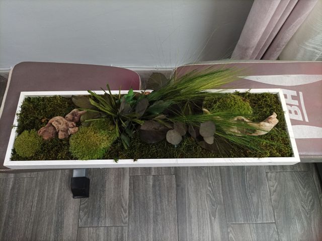 CUADRO JARDÍN VERTICAL