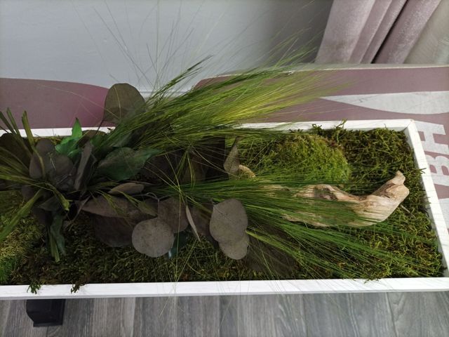 CUADRO JARDÍN VERTICAL