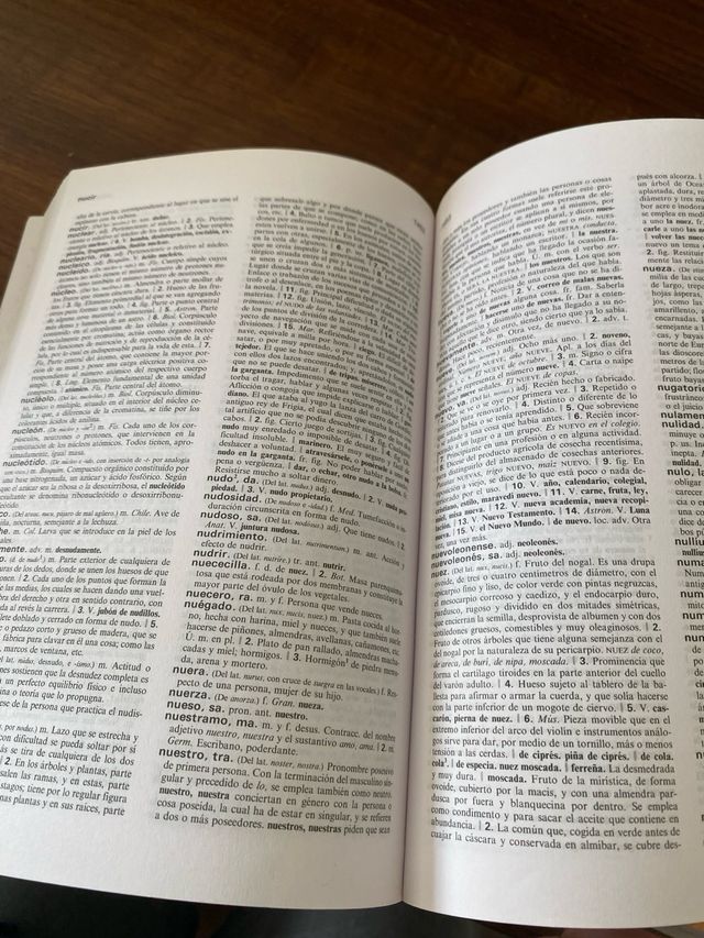 DICC.PRACTICO DE LA LENGUA ESPAÑOLA