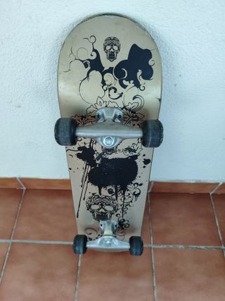SKATE EN MUY BUEN ESTADO 