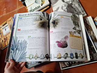 "Rocks & Minerals" Libro educativo en inglés