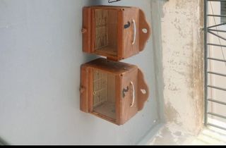 Cajones educadores de canto