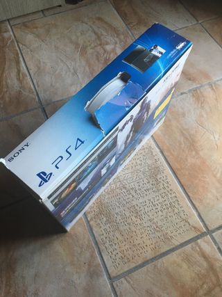 PS4 Fat