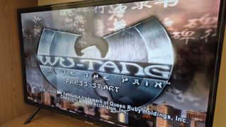 Wu-Tang Taste The Pain Ps1