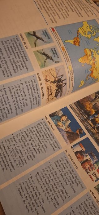 Libro 5 Egbero Santillana