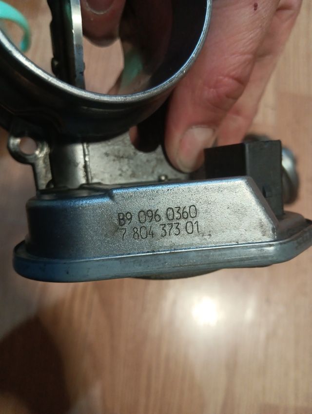 Valvola EGR e acceleratore