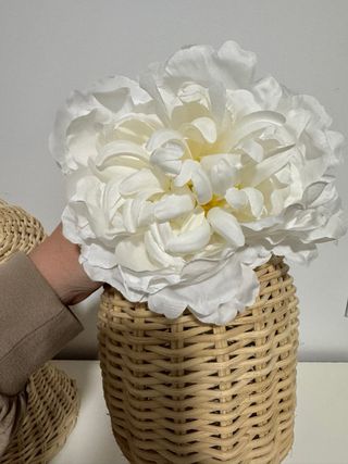 Peonia roja o blanca