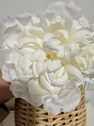 Peonia roja o blanca