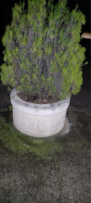 2 jardineras piedra - beige/gris