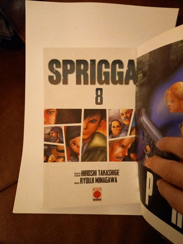 SPRIGAN 8