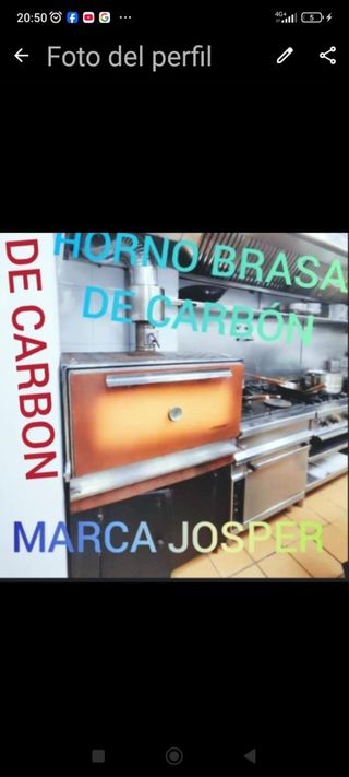 Horno leña carbón josper industrial bar 