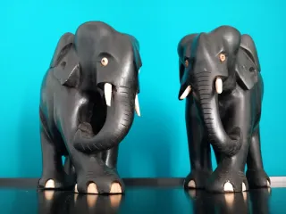 LAST PRICE - Elefanti anglo-asiatici in ebano.