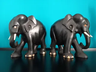 LAST PRICE - Elefanti anglo-asiatici in ebano.