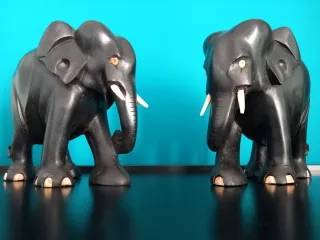 LAST PRICE - Elefanti anglo-asiatici in ebano.