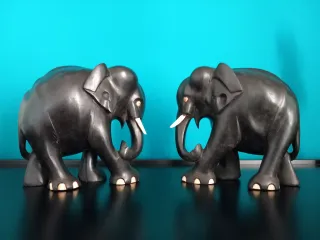 LAST PRICE - Elefanti anglo-asiatici in ebano.