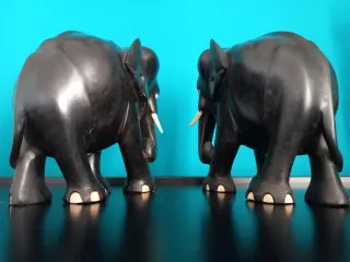 LAST PRICE - Elefanti anglo-asiatici in ebano.
