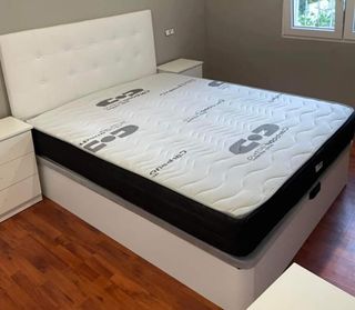 Canapé canapé liquidación 🔥