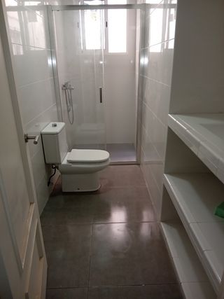 Albañil profesional