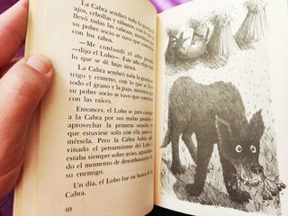 Diez cuentos de lobos