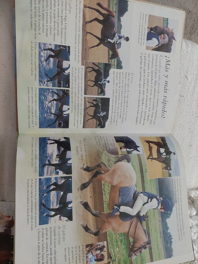 ESCUELA DE EQUITACIÓN (Spanish Edition)