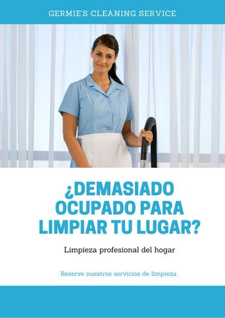 Limpieza hogar profesional