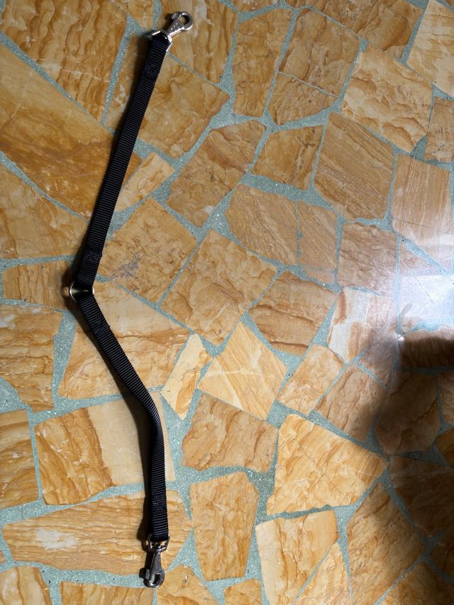 Guinzaglio doppio per cani twin