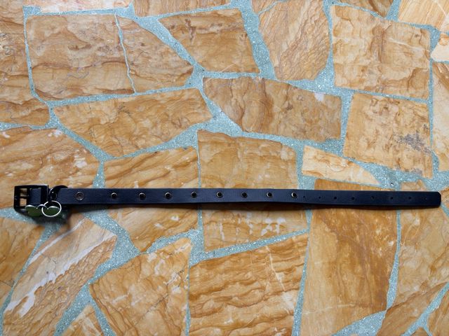 Collare per cane nero  nero con brillantini