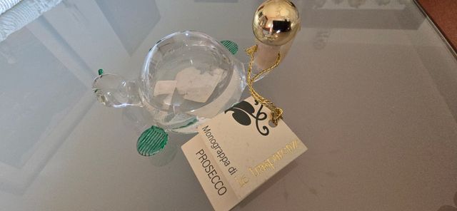 tartaruga in vetro contenente Prose