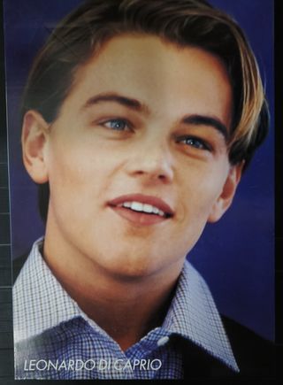 Poster Leonardo di Caprio
