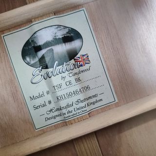 Guitarra electroacústica Tanglewood negra