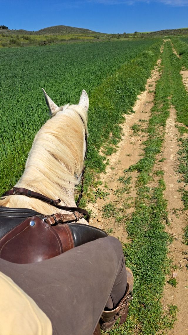 Campamento fines de semana o festivos