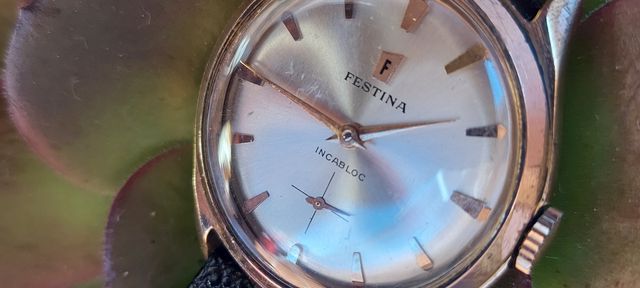 Festina