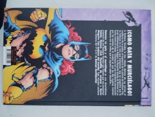 Batman: La gata y el murciélago