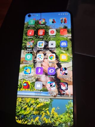 Móvil oppo augusto ms 426