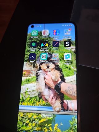 Móvil oppo augusto ms 426