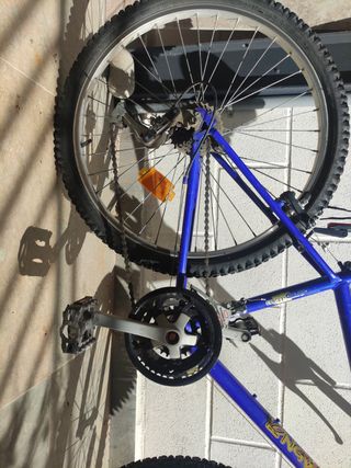 Bicicleta de montaña. Niñ@