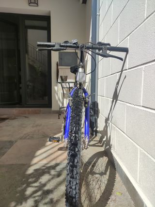 Bicicleta de montaña. Niñ@