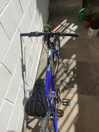 Bicicleta de montaña. Niñ@