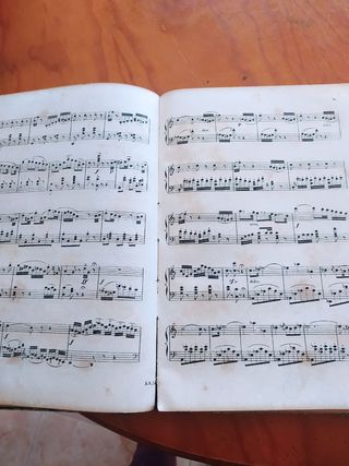 Partituras Norma Bellini - Música