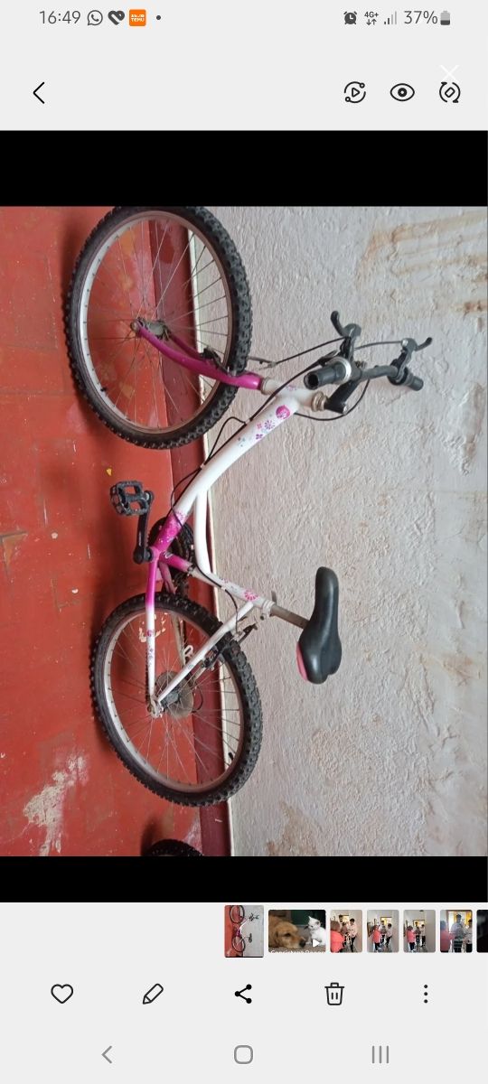 Bicicleta de montaña