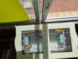 Jaula pajaros periquitos, agapornis, ninfas