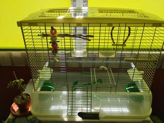 Jaula pajaros periquitos, agapornis, ninfas